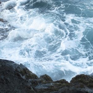 Meet your Posher, Cori